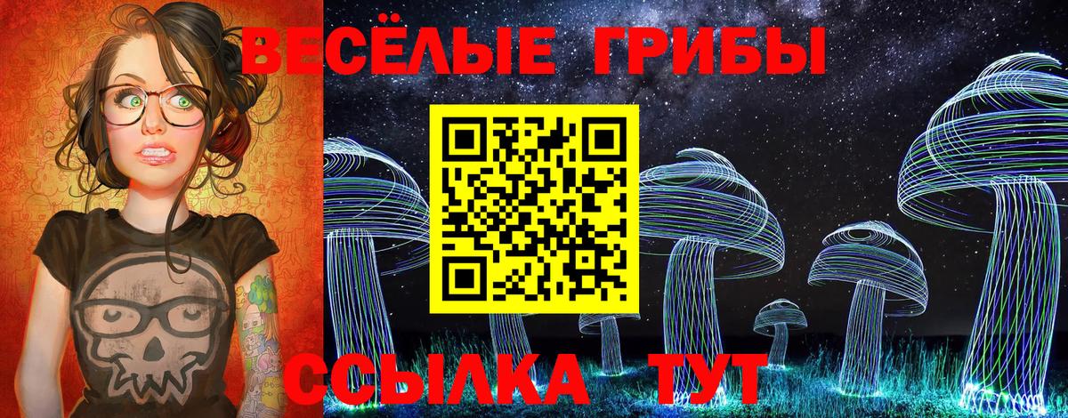 Галлюциногенные грибы Cubensis  Вход с VPN  Губкин 